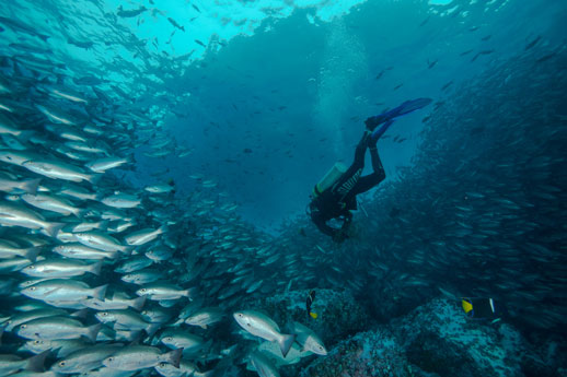 Práctica de buceo