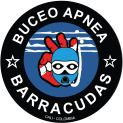 BUCEO APNEA BARRACUDAS